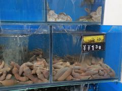 -小郭私房菜·海肠捞饭店(学士街店)