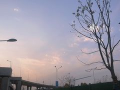 -洋湖国家湿地公园