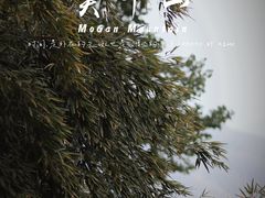 -莫干山风景区