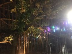 -颐和澜悦欢乐水世界(原颐和温泉城)
