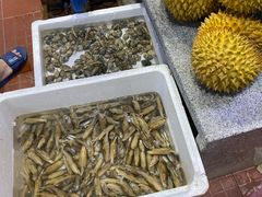 -肥仔濑尿虾(全球通总店)