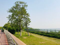 -江滩湿地公园