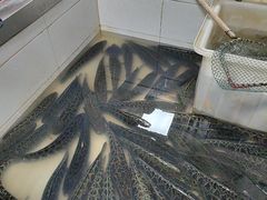 -都江堰石锅鱼