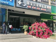 -御宝贝24h宠物医院·转诊中心·CT核磁血透中心(厦门总院)