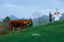 -金夫人婚纱摄影