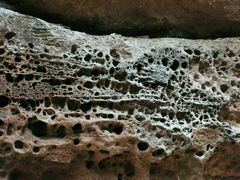 android_upload_pic-黄荆老林