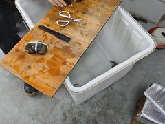 -阳澄湖大闸蟹·琼灵阁牌品牌连锁(吴中总店)