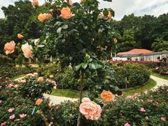 -人民公园(罗湖区)