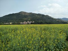 -玉龙寨旅游景区