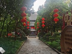 -秋霞圃