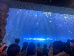 -华夏文旅西安度假区