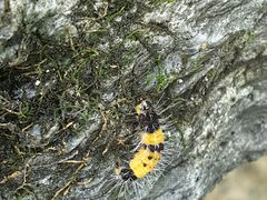 -青峰峡国家森林公园