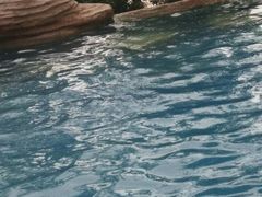 -汤峪温泉碧水湾