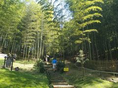 -宁波浙东大竹海景区