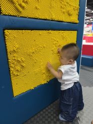 -哈尼兔儿童游戏乐园(沈阳大东龙之梦店)