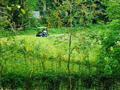 -麓湖高尔夫球俱乐部