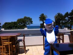 景观位-Blue Bay Buffet ResTaurAnt