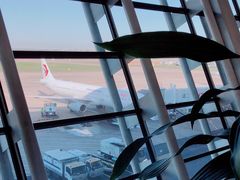 -上海浦东国际机场T1航站楼-P1停车场