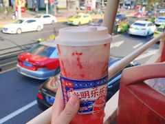 -BUS TOUR观光巴士