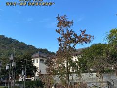 -宁波柏悦酒店·钱湖渔港