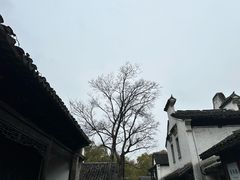 -惠山古镇·寄畅园