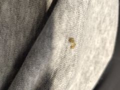 -蒌兰兰州牛肉面(龙湖上城店)