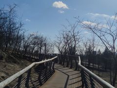 -白水寺森林公园