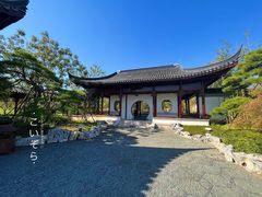 -上海滨江森林公园