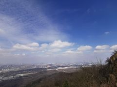 -紫金山山顶公园