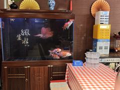 -邵年鸽(杨庄店)