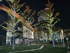 -苗小坛酸汤鱼(酒仙桥店)