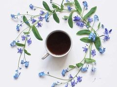 -参差咖啡(水果湖公园店)