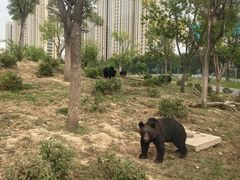 -太原动物园