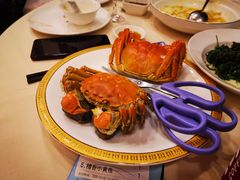 -王宝和酒家(黄浦店)