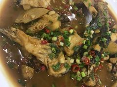 -全乐鱼馆·淳牌有机鱼直营店