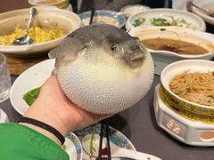 -肆月河豚·新淮扬(金融街店)