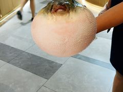 -鲐赏河豚(长寿店)