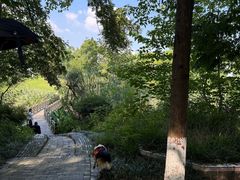 -桤木河湿地公园