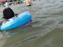 -碧海金沙