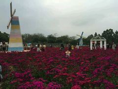 android_upload_pic-松山湖梦幻百花洲