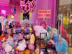 -BIG PINK大粉娃娃机主题馆(圆融星座店)