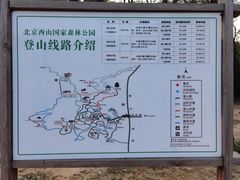 -北京西山国家森林公园