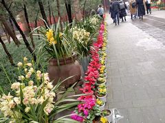 -成都武侯祠博物馆