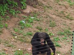 -石家庄市动物园