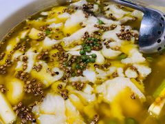 老坛青花椒酸菜鱼-拈菜(观音桥阳光世纪店)