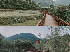 -小洞天柴火土菜馆