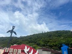-东澳岛
