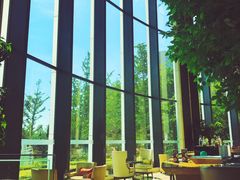 -新都绿城喜来登酒店大堂吧