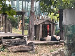 -大连森林动物园