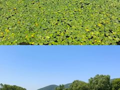 -长广溪湿地公园